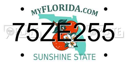 75ZE255 Florida License Plate