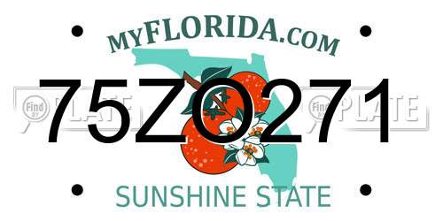 75ZO271 Florida License Plate