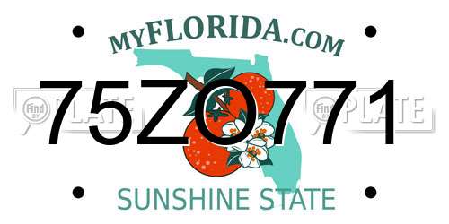75ZO771 Florida License Plate