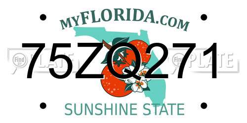 75ZQ271 Florida License Plate