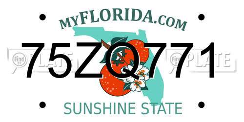 75ZQ771 Florida License Plate