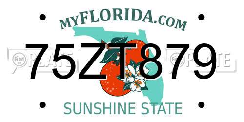 75ZT879 Florida License Plate
