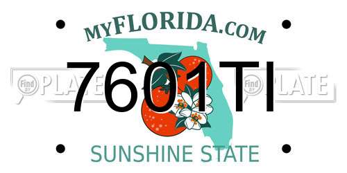 7601TI Florida License Plate