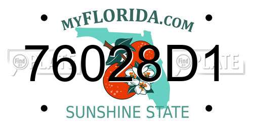 76028D1 Florida License Plate