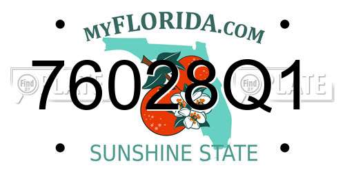 76028Q1 Florida License Plate