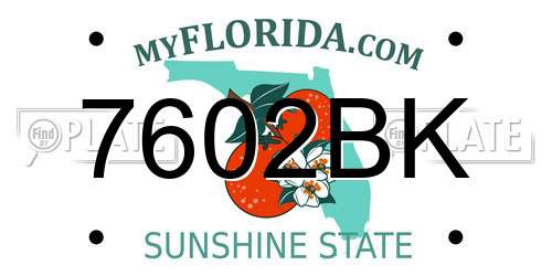 7602BK Florida License Plate