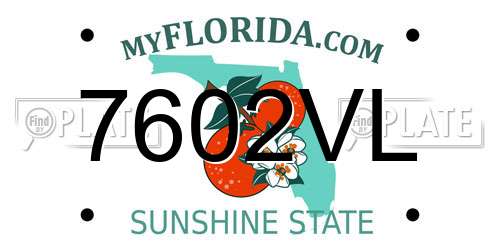 7602VL Florida License Plate