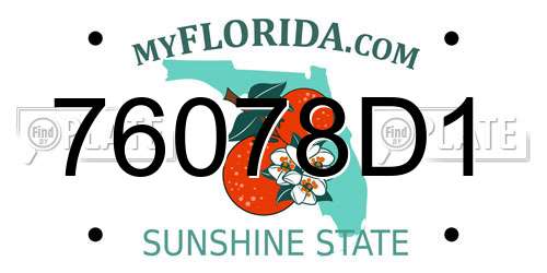 76078D1 Florida License Plate
