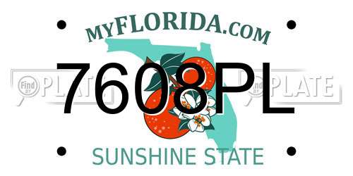 7608PL Florida License Plate