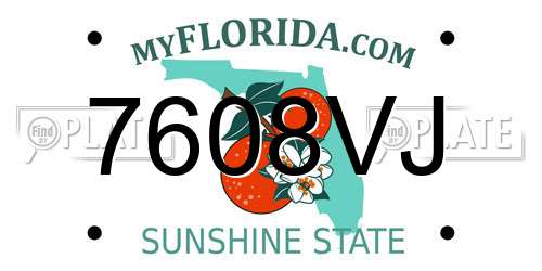 7608VJ Florida License Plate