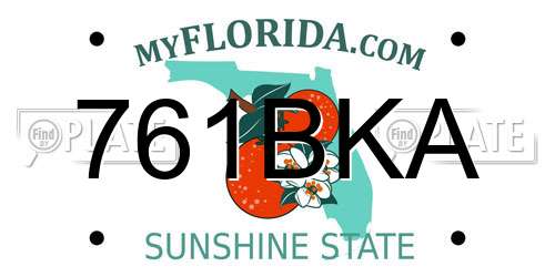 761BKA Florida License Plate