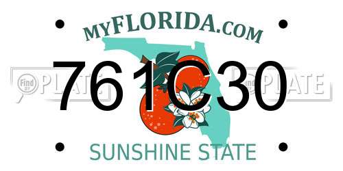 761C30 Florida License Plate