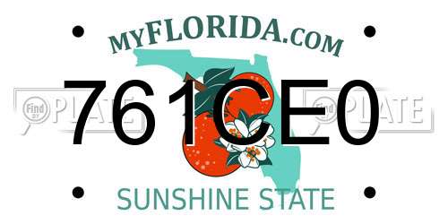 761CE0 Florida License Plate