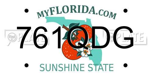 761QDG Florida License Plate