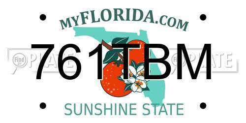 761TBM Florida License Plate