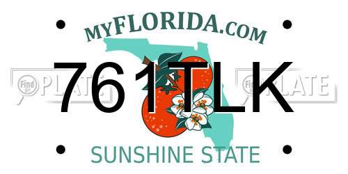 761TLK Florida License Plate