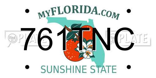 761TNC Florida License Plate