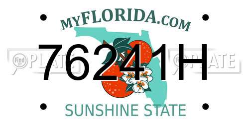 76241H Florida License Plate
