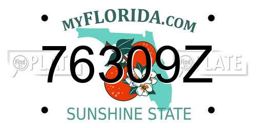76309Z Florida License Plate