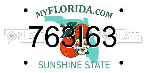 763I63 Florida License Plate
