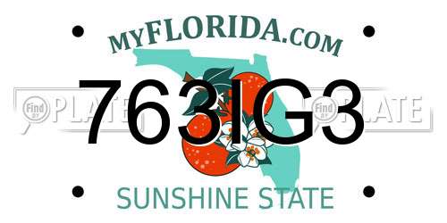 763IG3 Florida License Plate