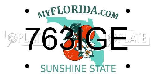 763IGE Florida License Plate