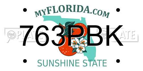 763PBK Florida License Plate