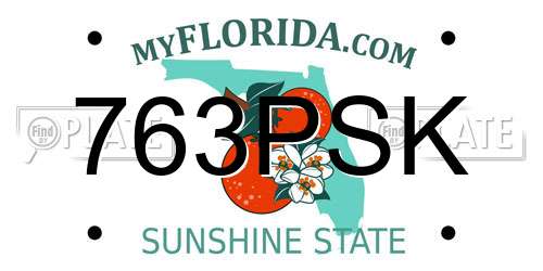 763PSK Florida License Plate