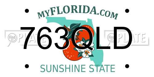 763QLD Florida License Plate