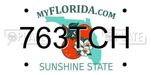 763TCH Florida License Plate