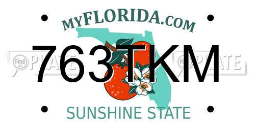 763TKM Florida License Plate