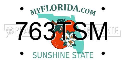 763TSM Florida License Plate