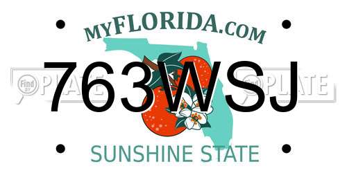 763WSJ Florida License Plate