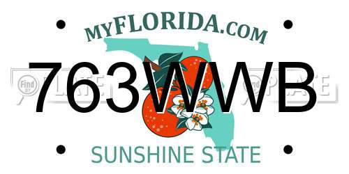 763WWB Florida License Plate