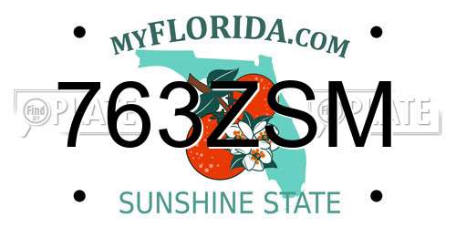 763ZSM Florida License Plate