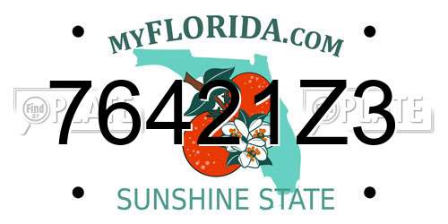 76421Z3 Florida License Plate