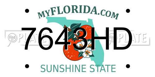 7643HD Florida License Plate