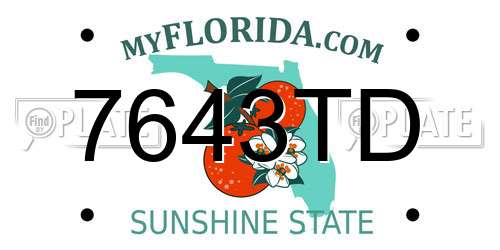 7643TD Florida License Plate