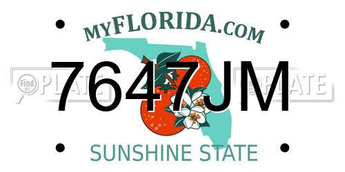 7647JM Florida License Plate
