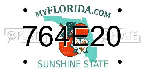 764E20 Florida License Plate