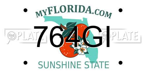 764GI Florida License Plate