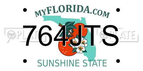 764JTS Florida License Plate