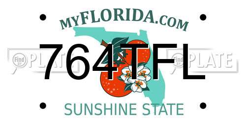 764TFL Florida License Plate