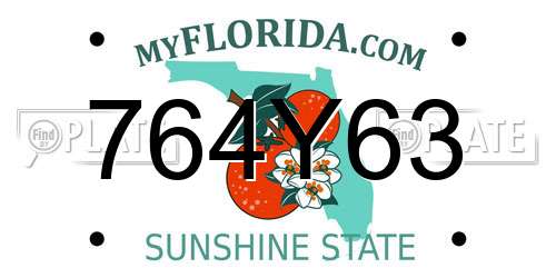764Y63 Florida License Plate