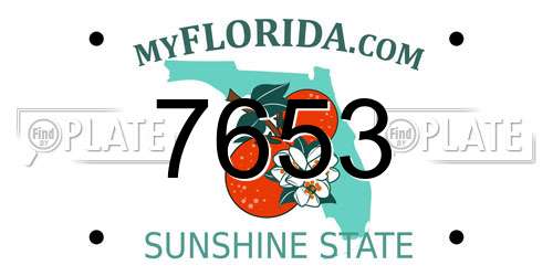 7653 Florida License Plate