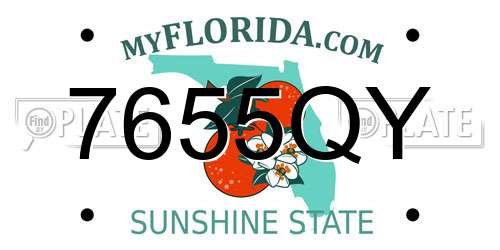 7655QY Florida License Plate