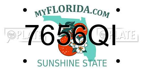 7656QI Florida License Plate