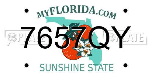 7657QY Florida License Plate