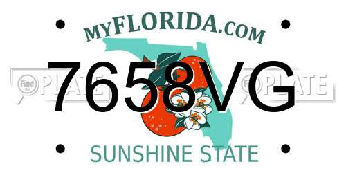 7658VG Florida License Plate