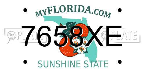 7658XE Florida License Plate
